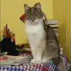 Отзыв от Анна Кудрявцева